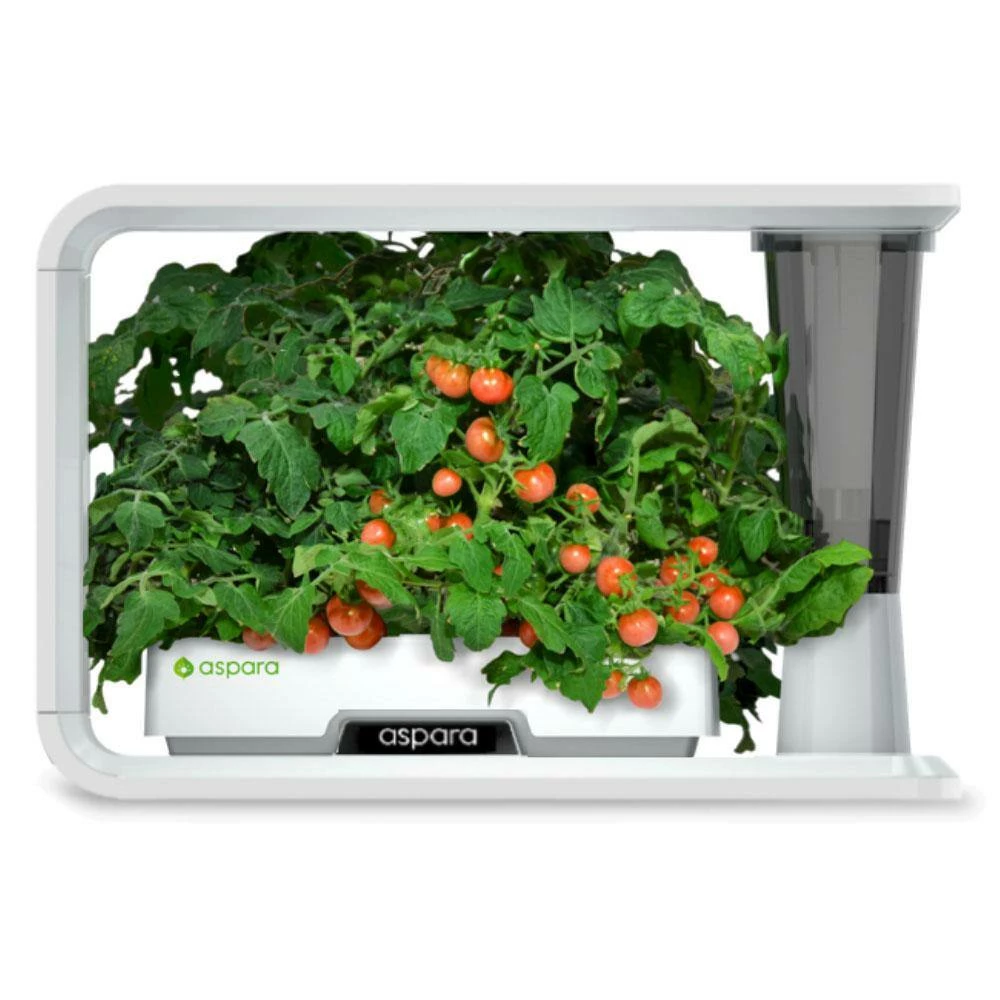 Outlet π Organic Cherry Tomato 4-Capsule Vegetable Seed Kit by aspara π 3 Outlet π Organic Cherry Tomato 4-Capsule Vegetable Seed Kit by aspara π - Image 3