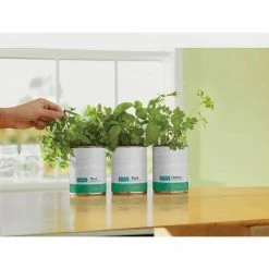 Promo 🤩 Basil/Cilantro/Mint Grow Kit Herb Garden (3-Pack) by Back to the Roots 🛒
