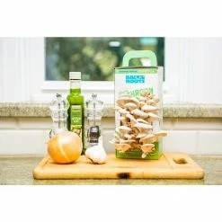 Outlet 🤩 Organic Mushroom Grow Kit by Back to the Roots ✔️ -Organic Gardening Shop back to the roots organic vegetable plants 11006 1d 1000
