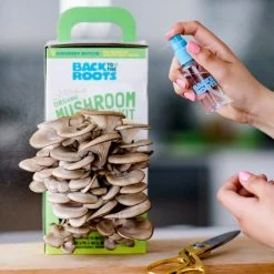 Outlet 🤩 Organic Mushroom Grow Kit by Back to the Roots ✔️ -Organic Gardening Shop back to the roots organic vegetable plants 11006 31 1000