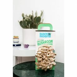 Outlet 🤩 Organic Mushroom Grow Kit by Back to the Roots ✔️ -Organic Gardening Shop back to the roots organic vegetable plants 11006 a0 1000