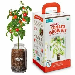 Brand new 😉 Windowsill Organic Cherry Tomato Grow Kit by Back to the Roots ✔️