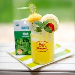 Outlet ⌛ Organic Peppermint Mint Seed (1-Pack) by Back to the Roots ✔️ -Organic Gardening Shop back to the roots organic vegetable seeds 46015 44 1000