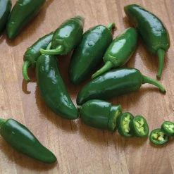 Best reviews of 🔔 Organic Jalapeno Pepper Seed (1-Pack) by Back to the Roots ✨ -Organic Gardening Shop back to the roots organic vegetable seeds 46055 4f 1000