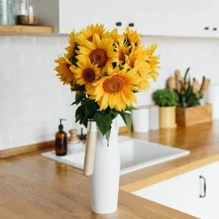 Budget 🔔 Organic Mammoth Grey Stripe Sunflower Seed (1-Pack) by Back to the Roots 🧨 -Organic Gardening Shop back to the roots organic vegetable seeds 46082 1f 1000