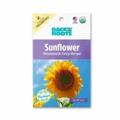 Budget 🔔 Organic Mammoth Grey Stripe Sunflower Seed (1-Pack) by Back to the Roots 🧨