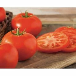Wholesale ✨ Organic Heirloom Tomato Vegetable Seeds Variety (5-Pack) by Back to the Roots 😀 -Organic Gardening Shop back to the roots organic vegetable seeds 50061 44 1000