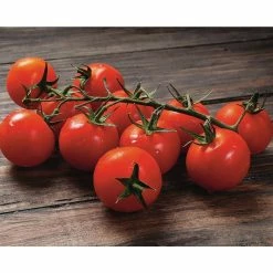 Wholesale ✨ Organic Heirloom Tomato Vegetable Seeds Variety (5-Pack) by Back to the Roots 😀 -Organic Gardening Shop back to the roots organic vegetable seeds 50061 4f 1000