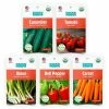 Discount 🎉 Organic Vegetable Seeds Variety (5-Pack) by Back to the Roots 🔥