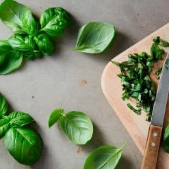 Buy 🛒 Organic Garden Essentials Vegetable Seeds Variety (15-Pack) by Back to the Roots 👏 -Organic Gardening Shop back to the roots organic vegetable seeds 50063 4f 1000