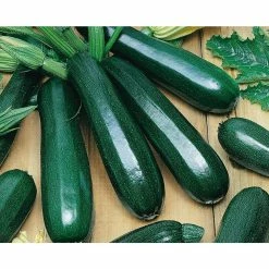 Top 10 👍 Organic 🌞 Summer Seeds Variety (7-Pack) by Back to the Roots ✔️ -Organic Gardening Shop back to the roots organic vegetable seeds 50065 fa 1000