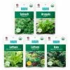 Flash Sale ✔️ Organic Leafy Greens Vegetable Seeds Variety (5-Pack) by Back to the Roots 🎉