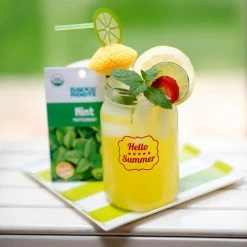 Deals 🎁 Organic Herbs and Veggie Seeds Variety (20-Pack) by Back to the Roots 💯 -Organic Gardening Shop back to the roots organic vegetable seeds 50075 44 1000