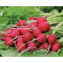 Best Sale ⌛ Organic Winter Veggies Seeds (7-Pack) by Back to the Roots 🤩 -Organic Gardening Shop back to the roots organic vegetable seeds 50076 4f 1000