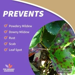 Cheap π 32 oz. Neem Oil Fungicide, Miticide and Insecticide Ready-To-Use by Bonide π₯ 10 Cheap π 32 oz. Neem Oil Fungicide, Miticide and Insecticide Ready-To-Use by Bonide π₯ -Organic Gardening Shop bonide bug killer spray 0226 1f 1000