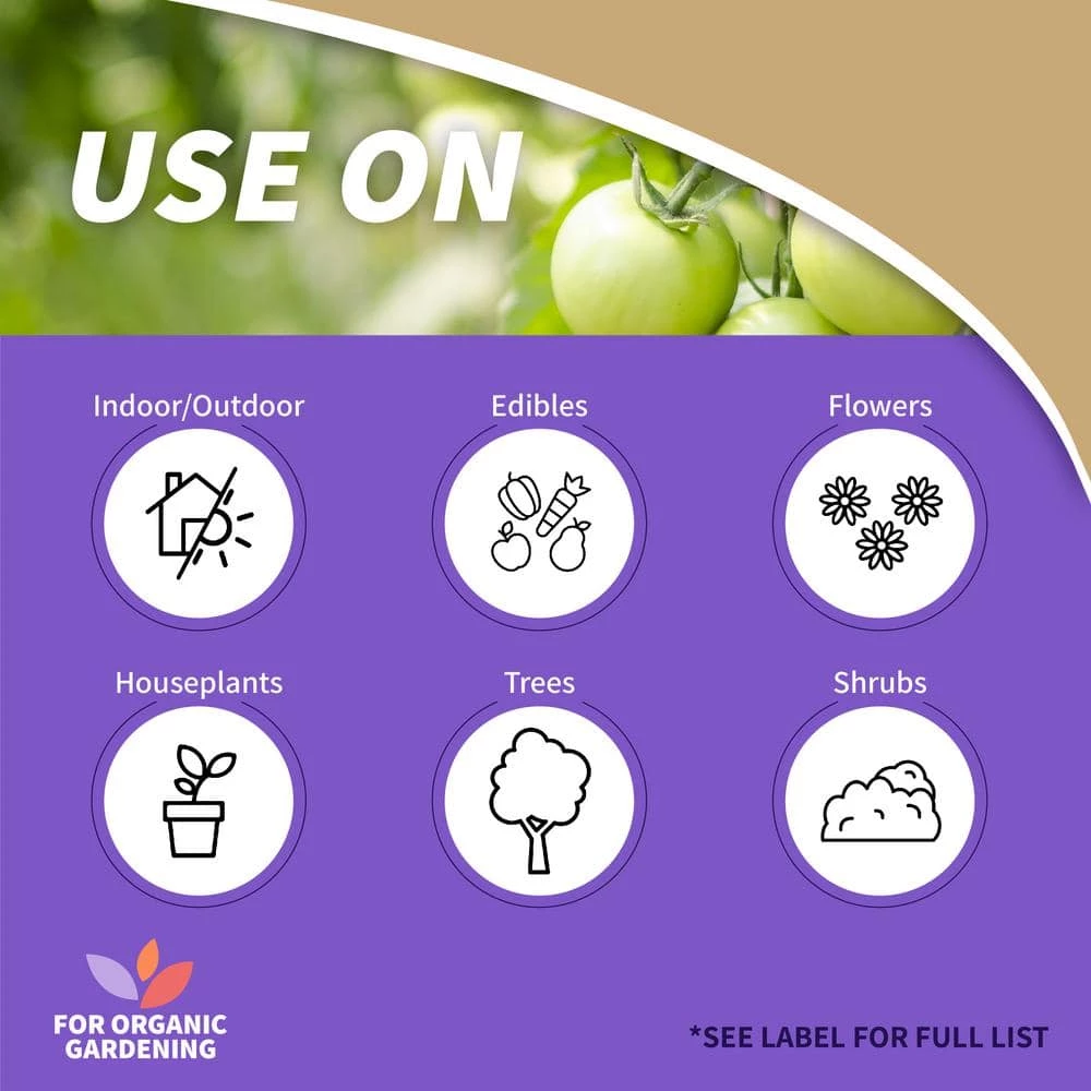 Cheap π 32 oz. Neem Oil Fungicide, Miticide and Insecticide Ready-To-Use by Bonide π₯ 2 Cheap π 32 oz. Neem Oil Fungicide, Miticide and Insecticide Ready-To-Use by Bonide π₯ - Image 2