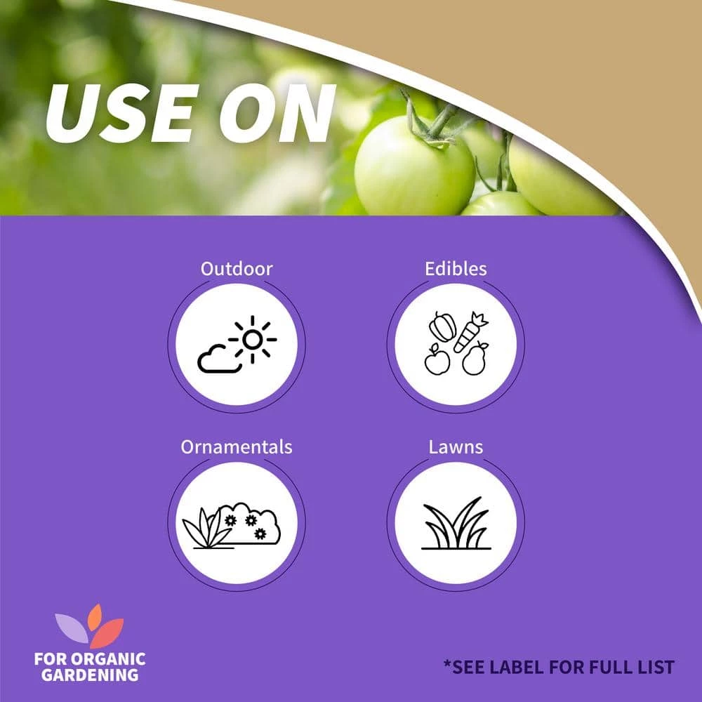 Flash Sale π Captain Jack Dead Bug Brew Concentrate by Bonide βοΈ 2 Flash Sale π Captain Jack Dead Bug Brew Concentrate by Bonide βοΈ - Image 2