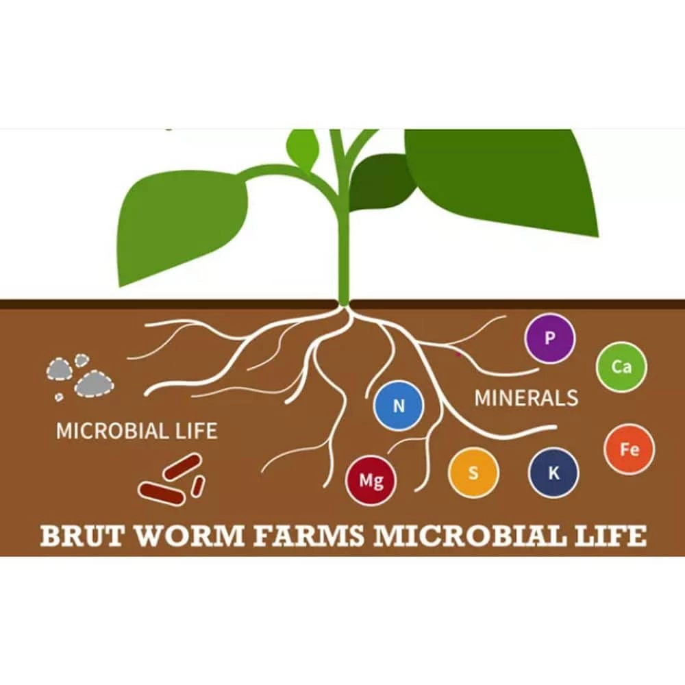 Wholesale π All Natural Organic Worm 30 lb. Bag Castings Soil Builder by Brut Worm Farms π 10 Wholesale π All Natural Organic Worm 30 lb. Bag Castings Soil Builder by Brut Worm Farms π - Image 10