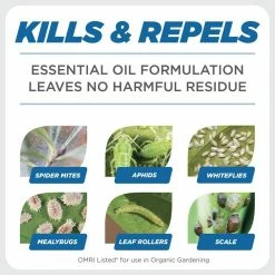 Budget 🥰 1 qt. Concentrate Miticide, Insect Control by Earth's Ally 💯 -Organic Gardening Shop bug killer spray 10337 1f 1000