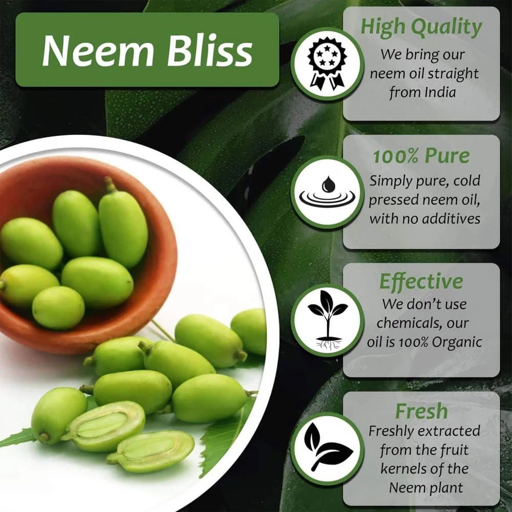 Brand new π₯° Neem Bliss Premium 100 Percent Pure Cold Pressed Seed Oil, 1 Gallon by Unbranded π€© 4 Brand new π₯° Neem Bliss Premium 100 Percent Pure Cold Pressed Seed Oil, 1 Gallon by Unbranded π€© - Image 4