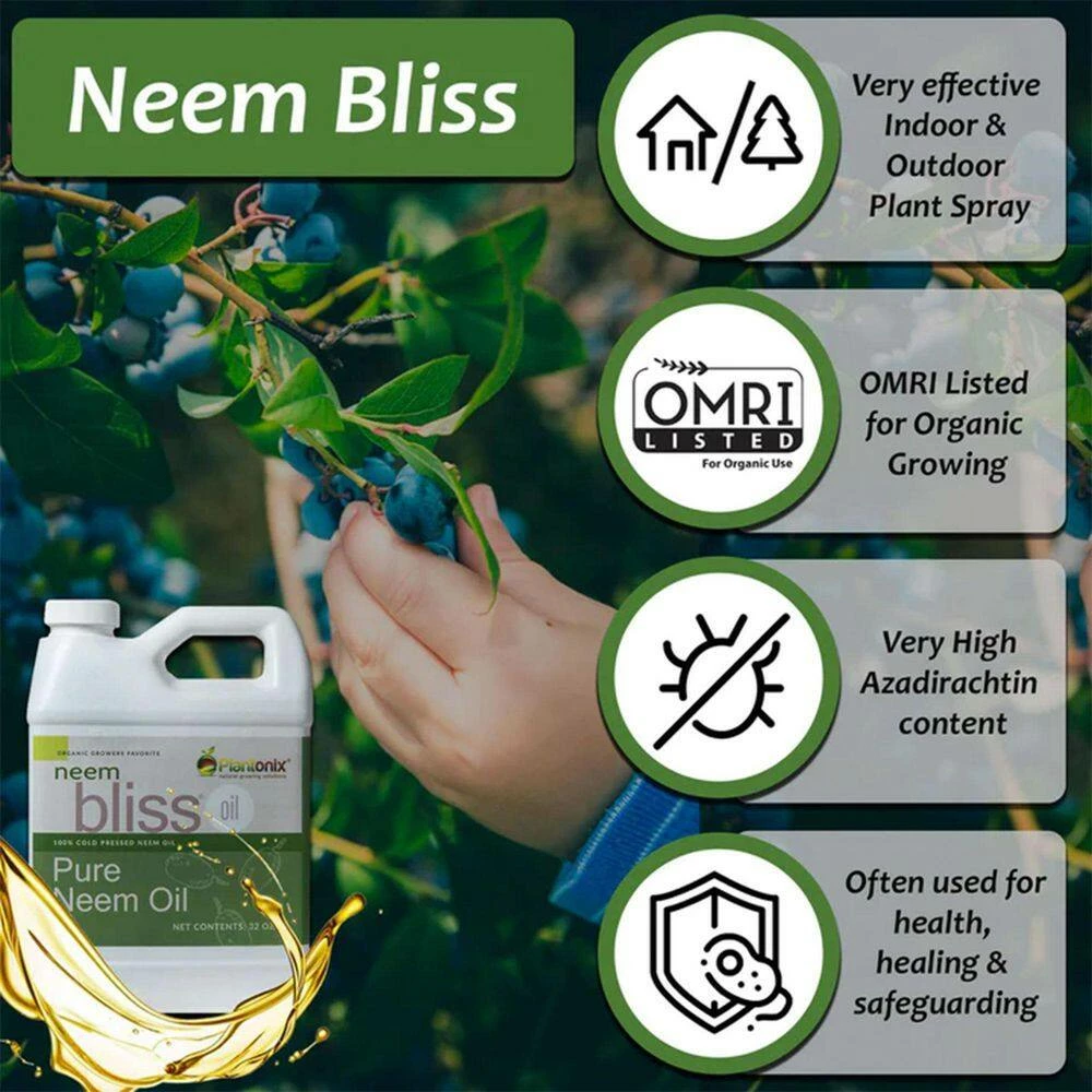 Brand new π₯° Neem Bliss Premium 100 Percent Pure Cold Pressed Seed Oil, 1 Gallon by Unbranded π€© 2 Brand new π₯° Neem Bliss Premium 100 Percent Pure Cold Pressed Seed Oil, 1 Gallon by Unbranded π€© - Image 2