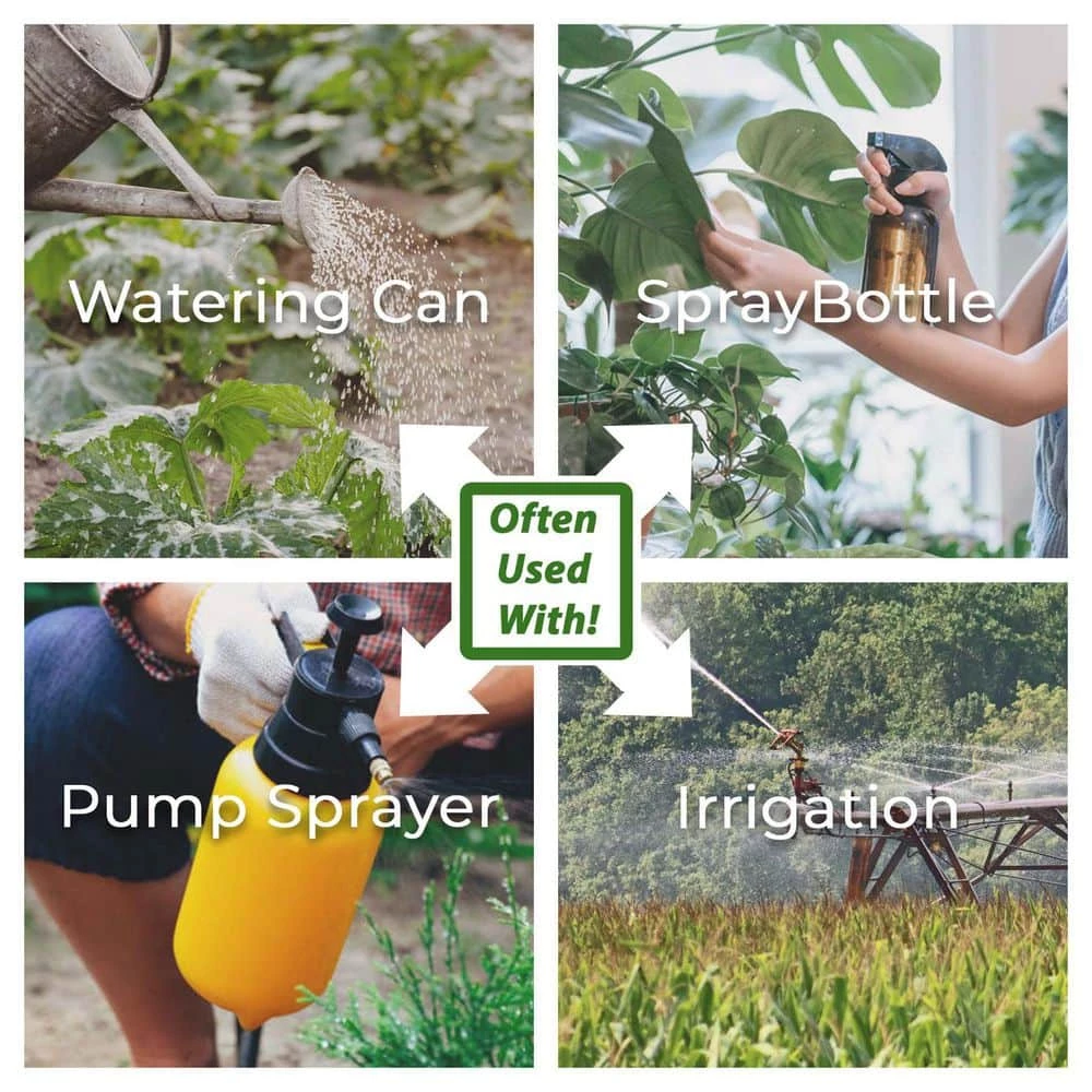 Brand new π₯° Neem Bliss Premium 100 Percent Pure Cold Pressed Seed Oil, 1 Gallon by Unbranded π€© 6 Brand new π₯° Neem Bliss Premium 100 Percent Pure Cold Pressed Seed Oil, 1 Gallon by Unbranded π€© - Image 6