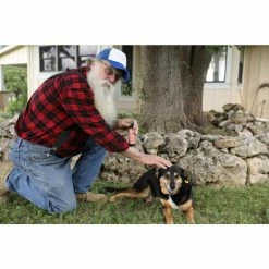 Best Sale ⌛ All-Natural Tick Repellent (2-Pack) by GRANDPA GUS'S 💯 -Organic Gardening Shop bug killer spray gtk 4 bag 3 hd 31 1000