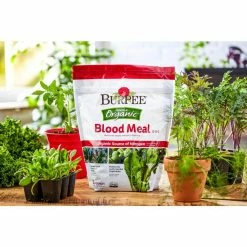 Buy π Natural & Organic 3 lbs. Blood Meal Granule Plant Food (3-Pack) by Burpee π 10 Buy π Natural & Organic 3 lbs. Blood Meal Granule Plant Food (3-Pack) by Burpee π -Organic Gardening Shop burpee grow media dcbp3bl3 4f 1000