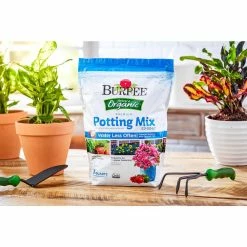 Best reviews of 🌟 Natural & Organic 8 qt. Potting Mix (4-Pack) by Burpee 🧨 -Organic Gardening Shop burpee organic potting soil dcbp8pm4 31 1000