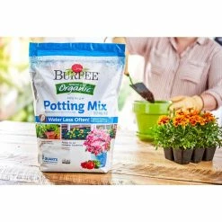 Best reviews of 🌟 Natural & Organic 8 qt. Potting Mix (4-Pack) by Burpee 🧨 -Organic Gardening Shop burpee organic potting soil dcbp8pm4 4f 1000