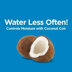 Best reviews of 🌟 Natural & Organic 8 qt. Potting Mix (4-Pack) by Burpee 🧨 -Organic Gardening Shop burpee organic potting soil dcbp8pm4 fa 1000