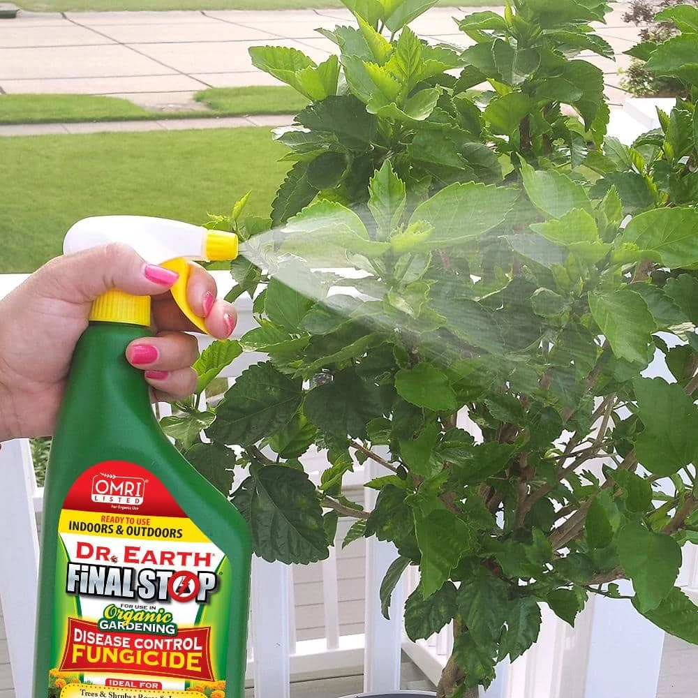Coupon π― 24 oz. Ready-to-Use Disease Control Fungicide by DR. EARTH π 3 Coupon π― 24 oz. Ready-to-Use Disease Control Fungicide by DR. EARTH π - Image 3