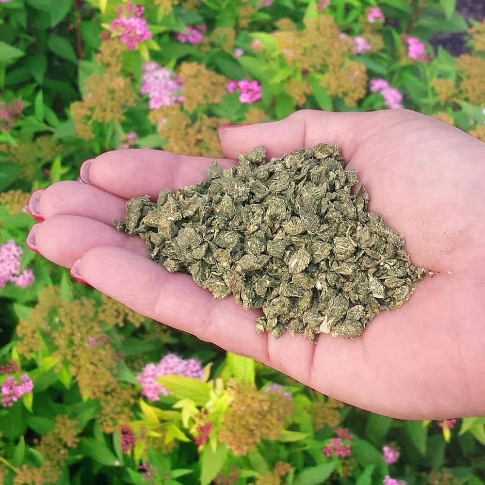 Flash Sale π 3 lbs. 45 sq. ft. Organic Pure Gold All Purpose Fertilizer Pelletized by DR. EARTH π 5 Flash Sale π 3 lbs. 45 sq. ft. Organic Pure Gold All Purpose Fertilizer Pelletized by DR. EARTH π - Image 5