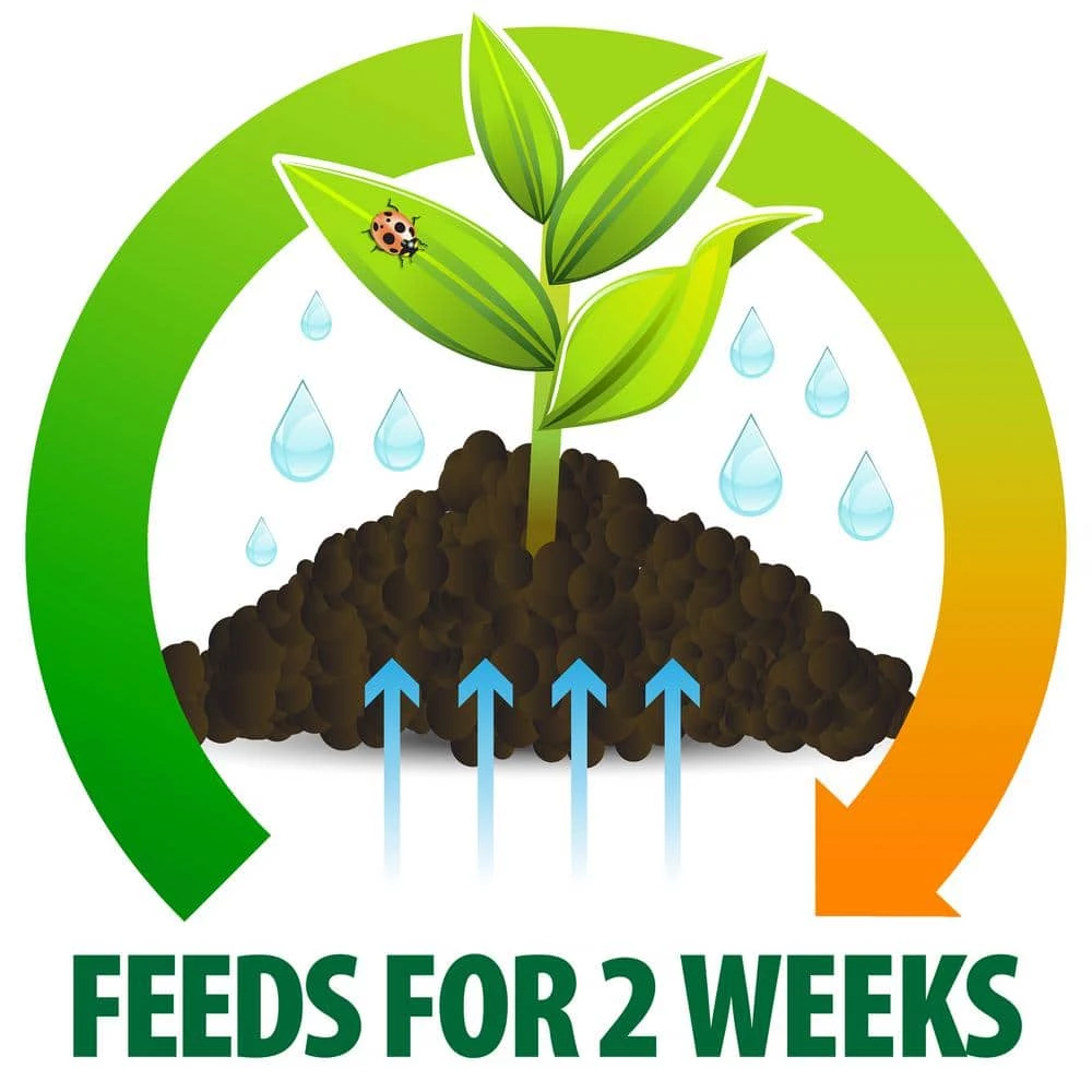 Promo β 16 oz. Organic and Natural Pump and Grow Succulence and Cactus Food by DR. EARTH π 6 Promo β 16 oz. Organic and Natural Pump and Grow Succulence and Cactus Food by DR. EARTH π - Image 6