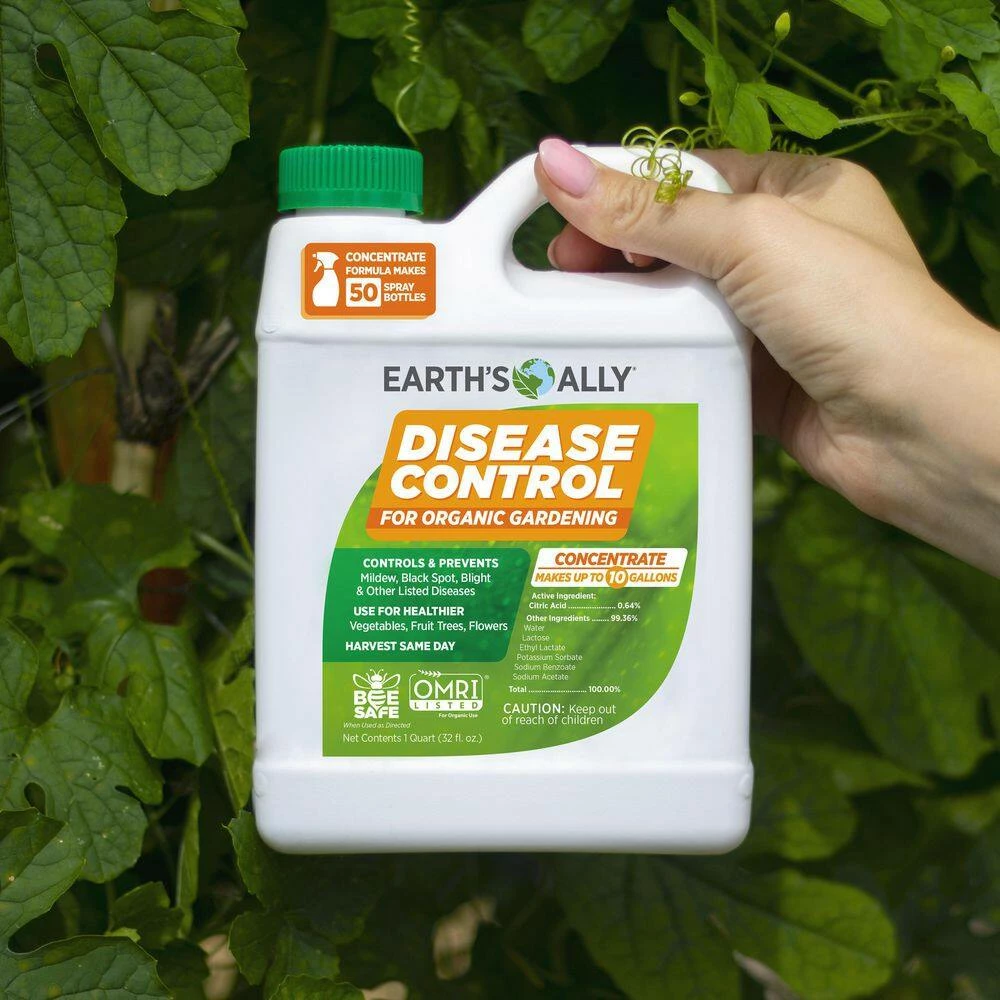 Budget 🤩 1 qt. Concentrate Fungicide, Disease Control by EARTH'S ALLY 🎁 6 Budget 🤩 1 qt. Concentrate Fungicide, Disease Control by EARTH'S ALLY 🎁 - Image 6