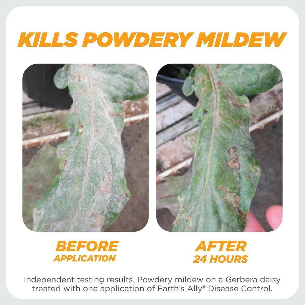 Budget 🤩 1 qt. Concentrate Fungicide, Disease Control by EARTH'S ALLY 🎁 5 Budget 🤩 1 qt. Concentrate Fungicide, Disease Control by EARTH'S ALLY 🎁 - Image 5