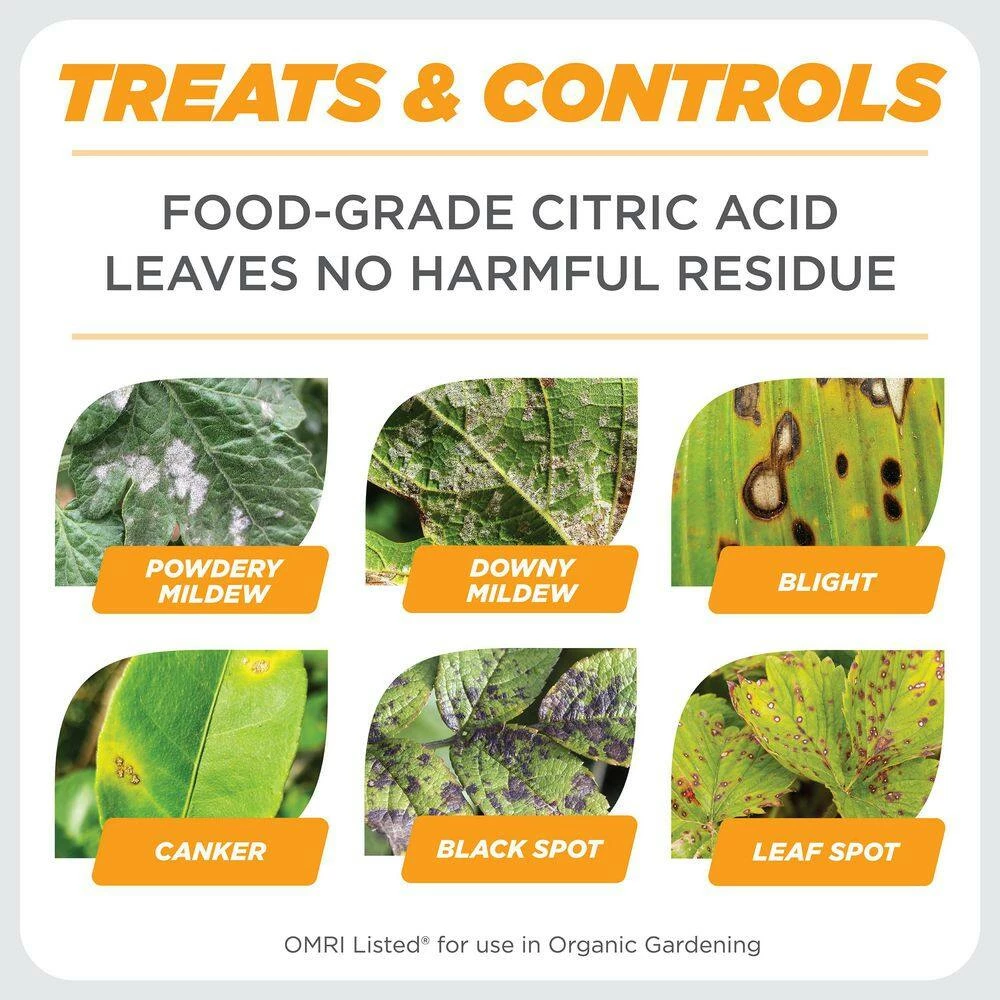 Budget 🤩 1 qt. Concentrate Fungicide, Disease Control by EARTH'S ALLY 🎁 8 Budget 🤩 1 qt. Concentrate Fungicide, Disease Control by EARTH'S ALLY 🎁 - Image 8