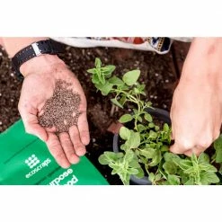 Budget 👏 4 lbs. Organic All Purpose Plant Food by EcoScraps ✨ -Organic Gardening Shop ecoscraps organic plant food pfap174404 a0 1000