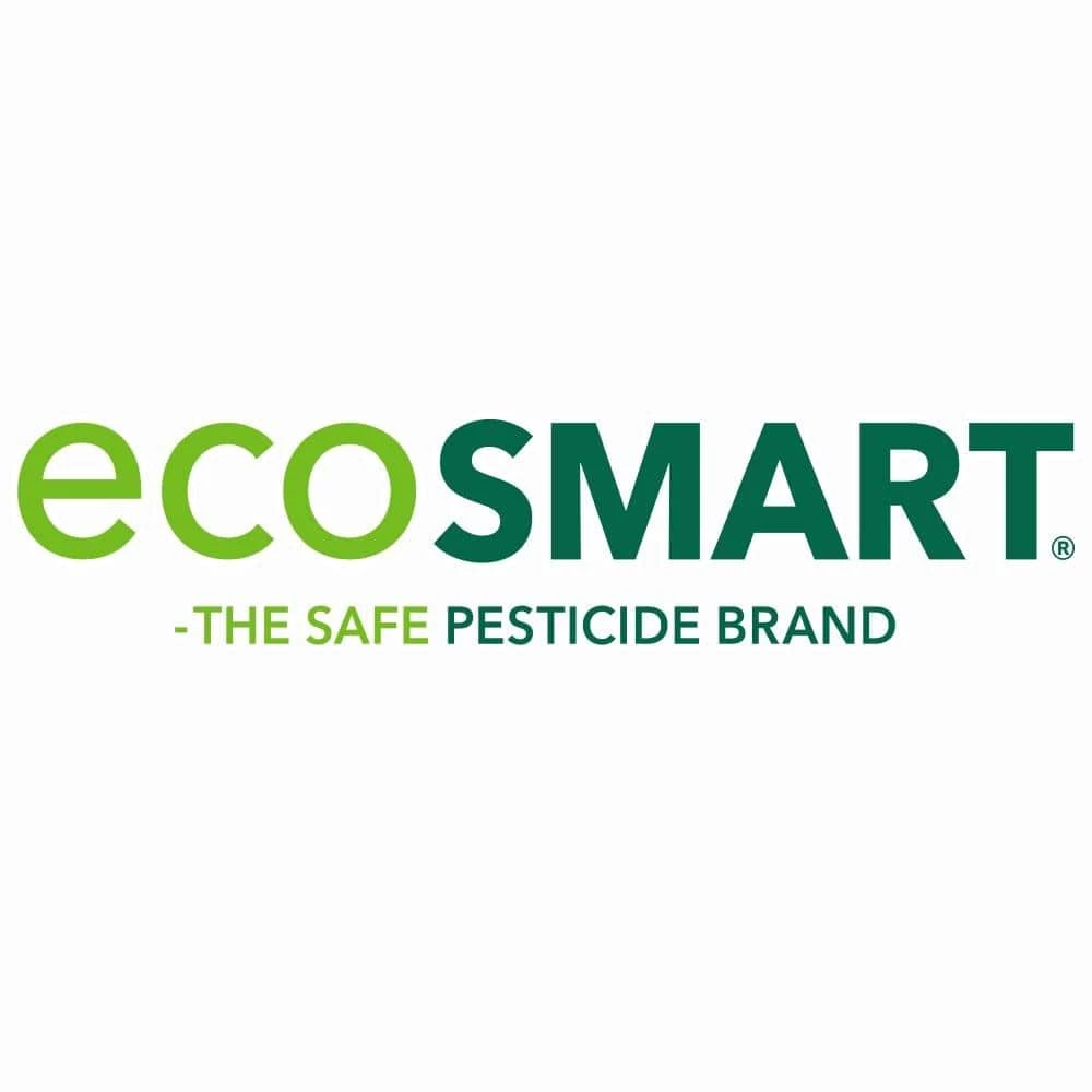 Best Sale π 14 oz. Natural Mosquito Fogger with Plant-Based Rosemary Oil and Peppermint Oil, Aerosol Spray Can (2-Pack) by EcoSmart π 6 Best Sale π 14 oz. Natural Mosquito Fogger with Plant-Based Rosemary Oil and Peppermint Oil, Aerosol Spray Can (2-Pack) by EcoSmart π - Image 6