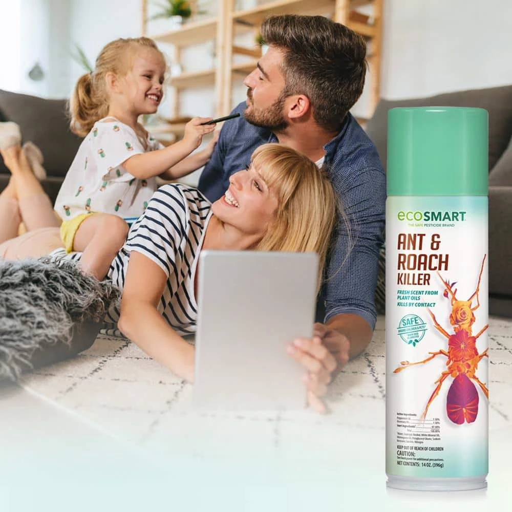 Deals ⌛ 14 oz. Natural Ant and Roach Killer with Plant-Based Rosemary Oil and Peppermint Oil, Aerosol Spray Can (2-Pack) by EcoSmart ⌛ 6 Deals ⌛ 14 oz. Natural Ant and Roach Killer with Plant-Based Rosemary Oil and Peppermint Oil, Aerosol Spray Can (2-Pack) by EcoSmart ⌛ - Image 6