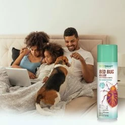 Buy 🤩 14 oz. Natural Bed Bug Killer with Plant-Based Peppermint and Rosemary Oil, Aerosol Spray Can (2-Pack) by EcoSmart 🔥 -Organic Gardening Shop ecosmart bug killer spray ecsm 33521 01ec 31 1000