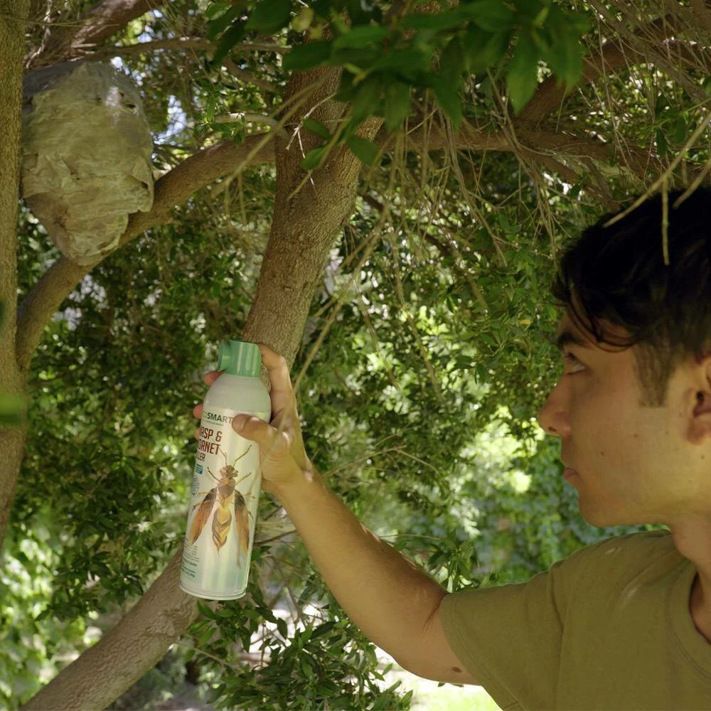 Best reviews of π 14 oz. Natural Wasp and Hornet Killer with Plant-Based Essential Oils, Aerosol Spray Can (2-Pack) by EcoSmart π 8 Best reviews of π 14 oz. Natural Wasp and Hornet Killer with Plant-Based Essential Oils, Aerosol Spray Can (2-Pack) by EcoSmart π - Image 8