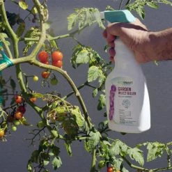 Coupon ✨ 24 oz. Natural Garden Insect Killer with Plant-Based Rosemary Oil and Peppermint Oil, Ready-to-Use Spray Bottle (2-Pack) by EcoSmart 🧨 -Organic Gardening Shop ecosmart bug killer spray ecsm 33624 01ec 1d 1000