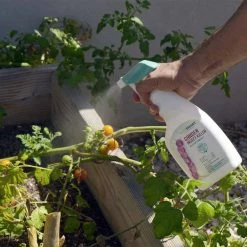 Coupon ✨ 24 oz. Natural Garden Insect Killer with Plant-Based Rosemary Oil and Peppermint Oil, Ready-to-Use Spray Bottle (2-Pack) by EcoSmart 🧨 -Organic Gardening Shop ecosmart bug killer spray ecsm 33624 01ec 66 1000