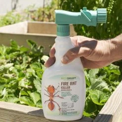 Brand new π₯ 32 oz. Natural Fire Ant Killer Mound Drench-Hose End Spray Bottle with Plant-Based Ingredients, Treats up to 20 Mounds by EcoSmart π€© 15 Brand new π₯ 32 oz. Natural Fire Ant Killer Mound Drench-Hose End Spray Bottle with Plant-Based Ingredients, Treats up to 20 Mounds by EcoSmart π€© -Organic Gardening Shop ecosmart bug killer spray ecsm 35023 01ec fa 1000