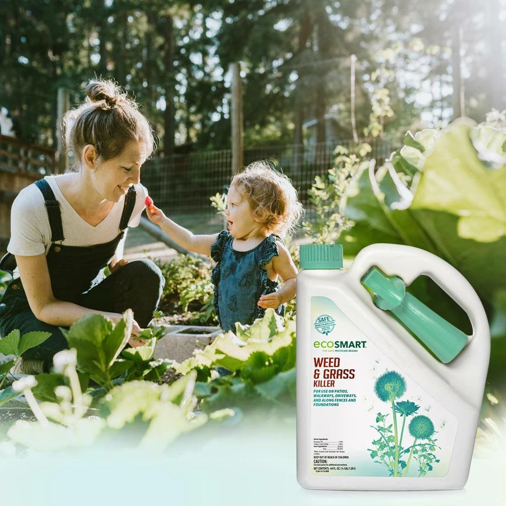 Hot Sale β€οΈ 64 oz. Natural, Glyphosate-Free Weed and Grass Killer with Plant-Based Rosemary Oil, Ready-To-Use Spray Bottle by EcoSmart π 9 Hot Sale β€οΈ 64 oz. Natural, Glyphosate-Free Weed and Grass Killer with Plant-Based Rosemary Oil, Ready-To-Use Spray Bottle by EcoSmart π - Image 9