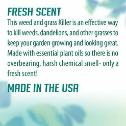 Hot Sale β€οΈ 64 oz. Natural, Glyphosate-Free Weed and Grass Killer with Plant-Based Rosemary Oil, Ready-To-Use Spray Bottle by EcoSmart π 16 Hot Sale β€οΈ 64 oz. Natural, Glyphosate-Free Weed and Grass Killer with Plant-Based Rosemary Oil, Ready-To-Use Spray Bottle by EcoSmart π -Organic Gardening Shop ecosmart organic weed killer ecsm 33630 01ec 76 1000