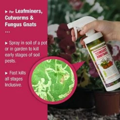 Cheap 😉 Garden Insect Control EcoVenger by EcoRaider 16 oz., Aphids, Mealybugs, Spider Mites, Army Worm, Child/Pet-Safe 🔔 -Organic Gardening Shop ecovenger bug killer spray ev1gm140016 1f 1000