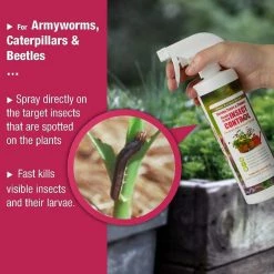 Cheap 😉 Garden Insect Control EcoVenger by EcoRaider 16 oz., Aphids, Mealybugs, Spider Mites, Army Worm, Child/Pet-Safe 🔔 -Organic Gardening Shop ecovenger bug killer spray ev1gm140016 44 1000