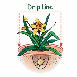 New 🧨 8 lbs. Organic Azalea Tone Fertilizer by Espoma ⭐ -Organic Gardening Shop espoma organic plant food 100534325 44 1000